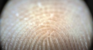 Fingerprints moisture regulating mechanism strengthens human touch