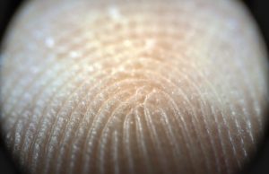 Fingerprints moisture regulating mechanism strengthens human touch