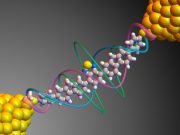 Harnessing quantum properties to create single molecule devices