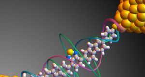 Harnessing quantum properties to create single molecule devices