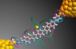 Harnessing quantum properties to create single molecule devices