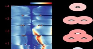 Magic angle graphene and the creation of unexpected topological quantum states