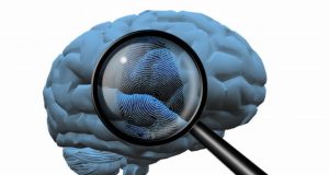 Memories create fingerprints that reveal how the brain is organized