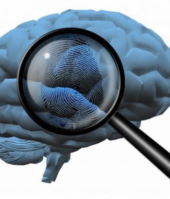 Memories create fingerprints that reveal how the brain is organized