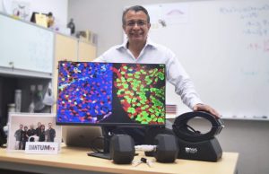 Molecule that promotes muscle health when magnetised Molecule that promotes muscle health when magnetised