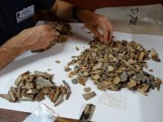 Neandertals buried their dead