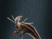 New dinosaur showed descendants how to dress to impress