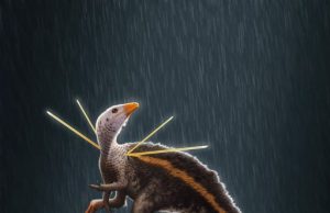 New dinosaur showed descendants how to dress to impress