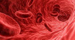 New method to boost supply of life saving stem cells