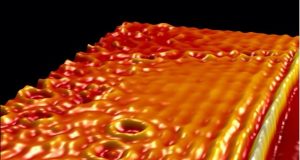 New platform generates hybrid light matter excitations in highly charged graphene
