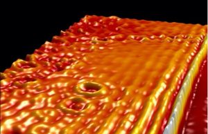 New platform generates hybrid light matter excitations in highly charged graphene