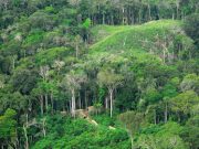 Newly discovered ancient villages laid out like a clock face are further proof of human impact on the Amazon
