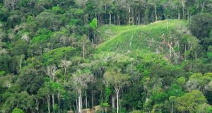 Newly discovered ancient villages laid out like a clock face are further proof of human impact on the Amazon