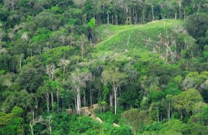 Newly discovered ancient villages laid out like a clock face are further proof of human impact on the Amazon