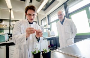 Newly discovered receptor helps to sneak a peek at evolution