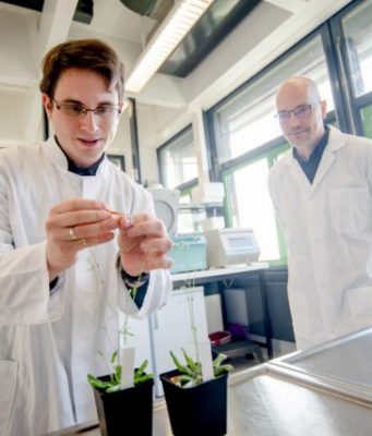 Newly discovered receptor helps to sneak a peek at evolution Newly discovered receptor helps to sneak a peek at evolution
