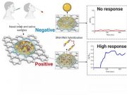 Paper based electrochemical sensor can detect COVID 19 in less than five minutes