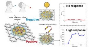 Paper based electrochemical sensor can detect COVID 19 in less than five minutes