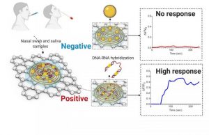 Paper based electrochemical sensor can detect COVID 19 in less than five minutes
