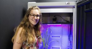Plants can be larks or night owls just like us
