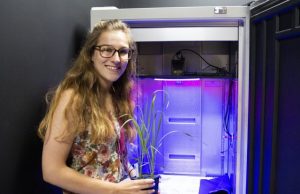 Plants can be larks or night owls just like us Plants can be larks or night owls just like us