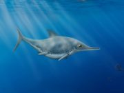 Prehistoric sea dragon discovered on English Channel Coast is identified as new species