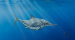 Prehistoric sea dragon discovered on English Channel Coast is identified as new species