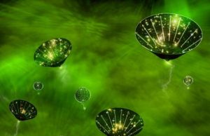 Primordial black holes and the search for dark matter from the multiverse