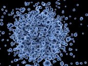 Research team develops software that cuts time cost from gene sequencing
