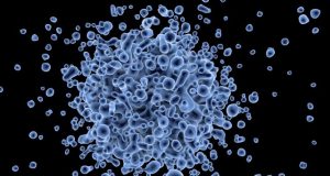 Research team develops software that cuts time cost from gene sequencing