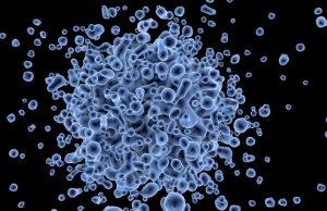 Research team develops software that cuts time cost from gene sequencing