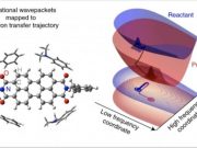 Researchers report role of quantum vibrations in electron transfer