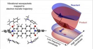 Researchers report role of quantum vibrations in electron transfer