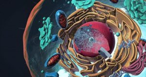 Scientists pioneer new method of measuring electricity in cells