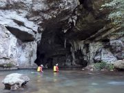 Shocking adaptations discovered in electric fish of Brazils Amazon