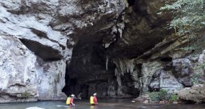 Shocking adaptations discovered in electric fish of Brazils Amazon