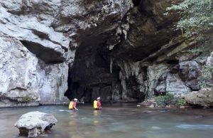 Shocking adaptations discovered in electric fish of Brazil’s Amazon Shocking adaptations discovered in electric fish of Brazils Amazon