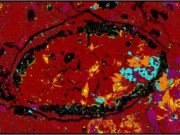 Study finds meteoric evidence for a previously unknown asteroid