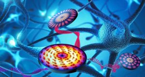 Team develops component for neuromorphic computer