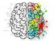 The DNA regions in our brain that contribute to making us human