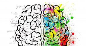The DNA regions in our brain that contribute to making us human
