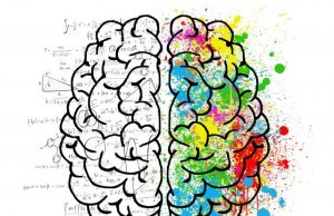 The DNA regions in our brain that contribute to making us human