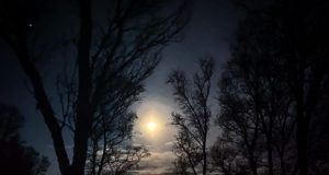 The moon controls the release of methane in Arctic Ocean