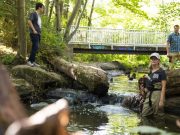 Tire related chemical is largely responsible for adult coho salmon deaths in urban streams