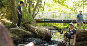 Tire related chemical is largely responsible for adult coho salmon deaths in urban streams