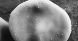 Tunable coating allows hitch hiking nanoparticles to slip past the immune system to their target