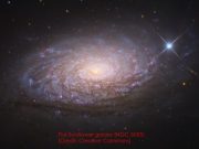 Unique prediction of modified gravity challenges dark matter theory