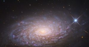 Unique prediction of modified gravity challenges dark matter theory
