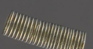 What caused the ice ages tiny ocean fossils offer key evidence