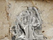 Worlds earliest python identified from 47 million year old fossil remains